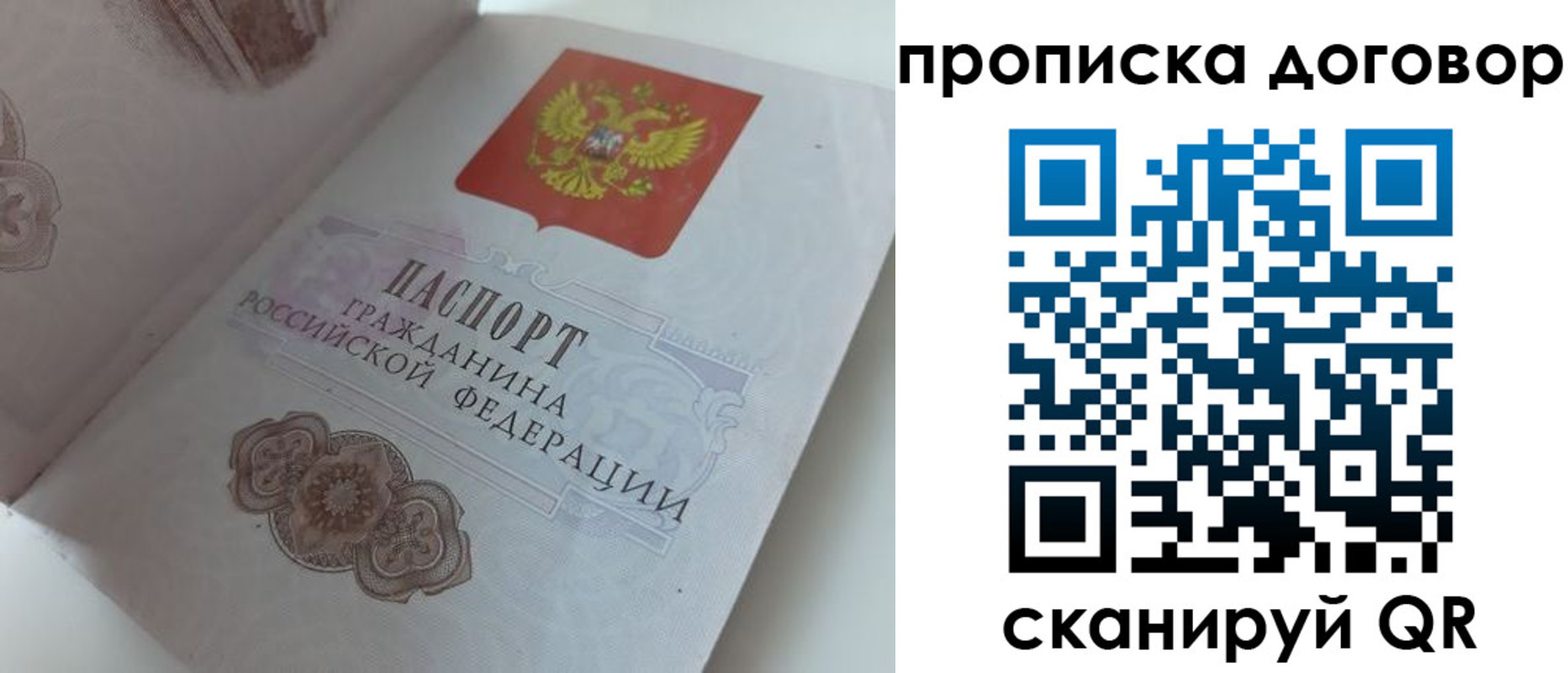 прописка поиск в Зарайске